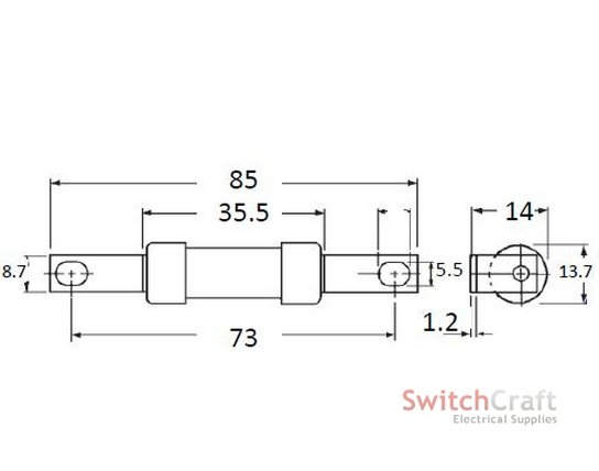 AAO (TIA) Fuse 6A (Packet of 20)